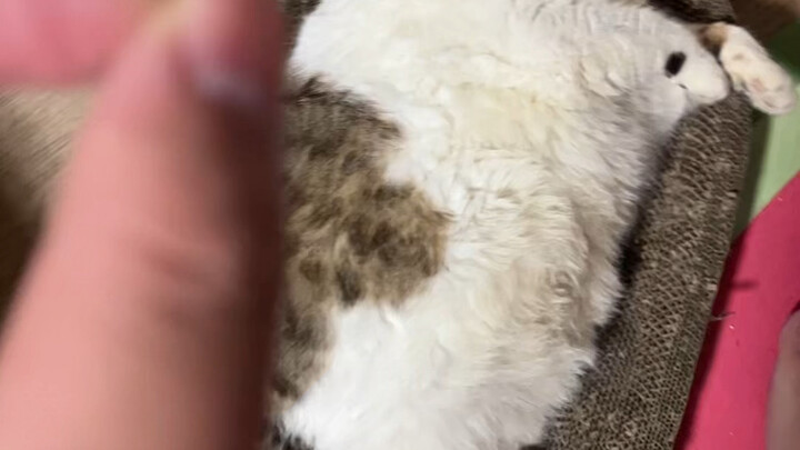 Out of print and highly sought after