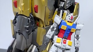 Akhirnya sepasang kaki besar dan tebal! Paviliun Zangwan berubah menjadi Chuangji Yinglongwei Gangle