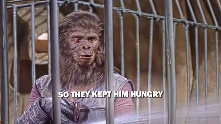 Why the apes are actually the funniest part of this movie
