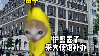 Tầm quan trọng của đại sứ quán đối với du học sinh Trung Quốc