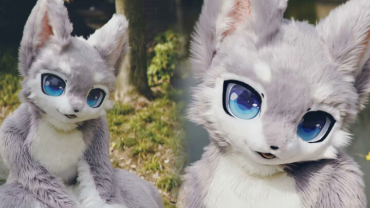 هل هذا الذئب الذي أسقطته؟