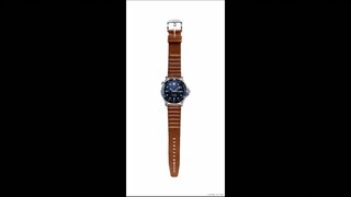 All the Omega Seamaster watches worn by James Bond 007 from 1995-2022
