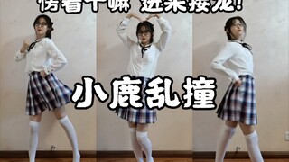 【奶浠】小  猪  乱  拱❤️别愣着快进来接龙！《小鹿乱撞》