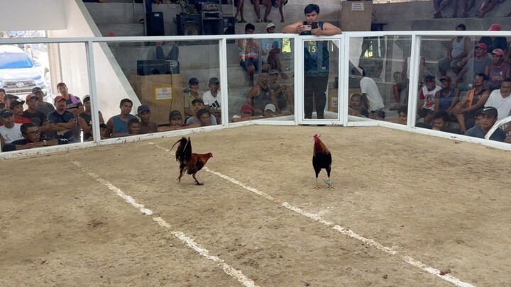 2 HITS ULUTAN @NM AMULUNG COCKPIT - BOSS ATAN 2 - LW