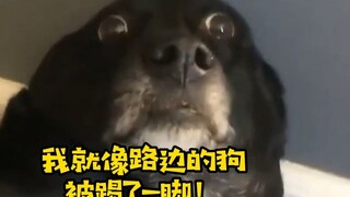 [Oppenheimer] Kilian buộc tội Nolan: Anh ta chỉ muốn quay phim tôi thôi! Hai người xong chưa?