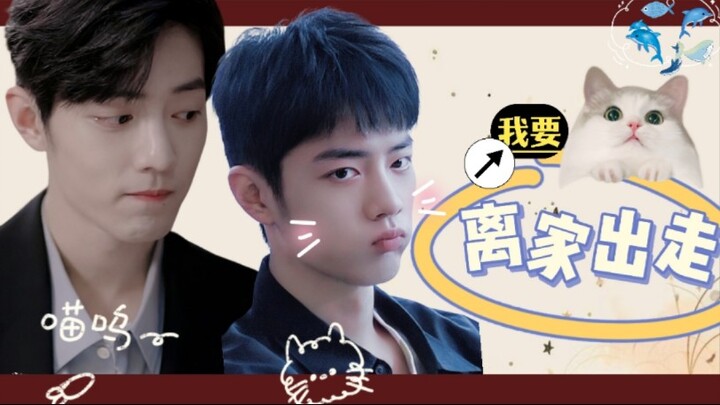 【肖战水仙l魏阳】第9集‖顾魏x盛阳《我要离家出走》嘴硬心软魏 天真勇敢阳萌宠 可爱 治愈 酸涩