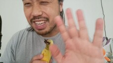 ASMR EATING SOUNDS - BANANA