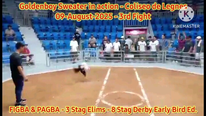 Goldenboy Sweater in action at Coliseo de Leganes Iloilo - FIGBA 3-Stag Elims - 3rd Fight