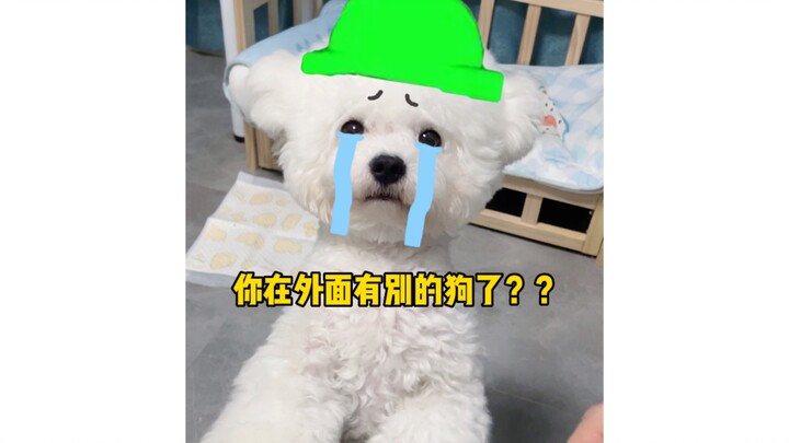 เมื่อฉันตั้งใจเรียกชื่อสุนัขผิด...