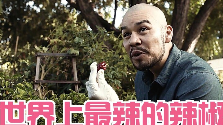 孤星：世界上最辣的魔鬼辣椒，舔一口胃就得穿孔