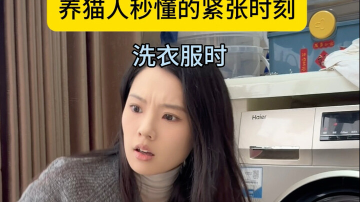 لحظات متوترة يفهمها فقط من يربّون القطط