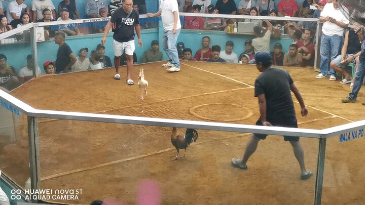 DTM70 White in Action