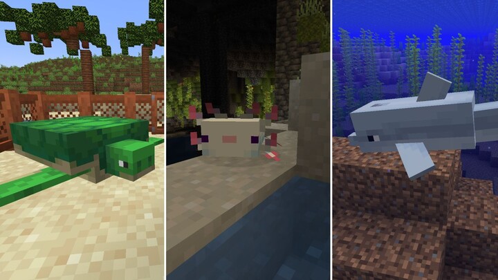 5 Mobs Aquatic Paling Berguna! [ Minecraft Top 5 Indonesia ]