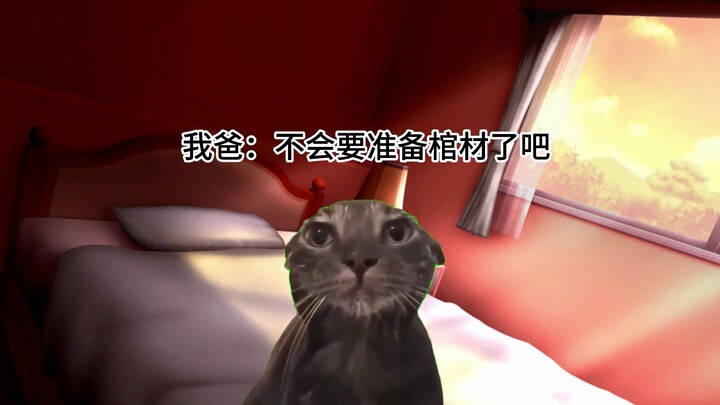 【猫meme】关于我和阎王拔河的上半生