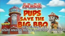 Paw patrol Musim 11 Episode 18 Sub Indonesia