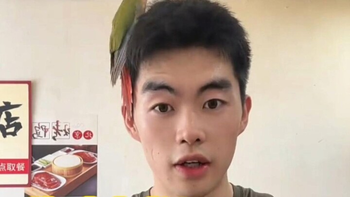Sếp ơi, nhiệm vụ lớn nhất của sếp bây giờ là cập nhật mấy con thú nhỏ này, rồi lập cho chúng một tài