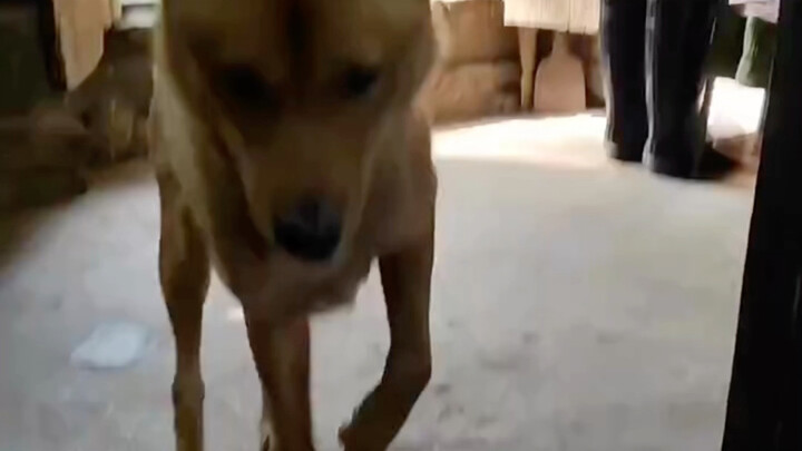 Isn’t this my dear son?