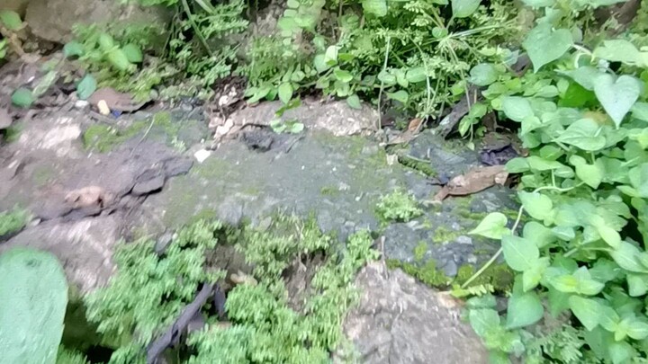 Mystical Cave 07 Oct 2023