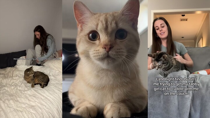 นาทีนี้ มีแต่คนเลี้ยงแมวเท่านั้นที่เข้าใจ