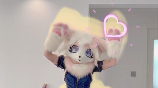 เวอร์ชันเต็มของ fursuit loveit jumps! ออกแบบท่าเต้นโดย Xibai~