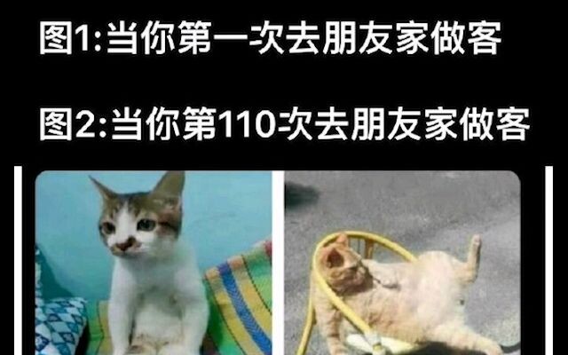(ภาพมีมฮาๆ บนอินเทอร์เน็ต 170)