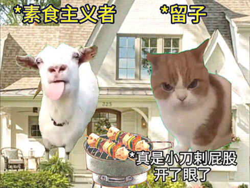 Fight Magic with Magic