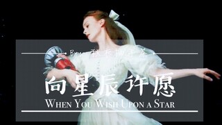 【迪斯尼童话向】仙女群像｜向星辰许愿