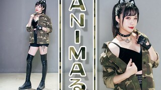 【蛔KAORU】ANIMAる/ANIMAL✈✈狂野狩猎(*ΦωΦ*)