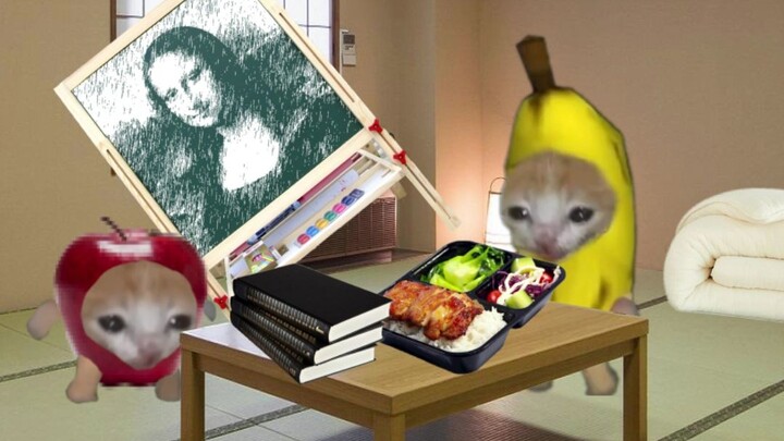 Banana Cat takes part in the 28-day no electronic device challenge!