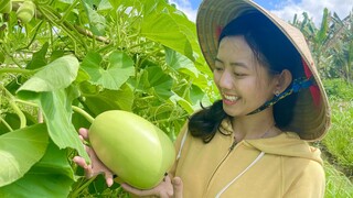 Một Ngày Thu Hoạch Mãng Cầu Của Mợ Hai Cùng Bữa Cơm Quê Chan Chứa Tình Thương | NĐMT#273