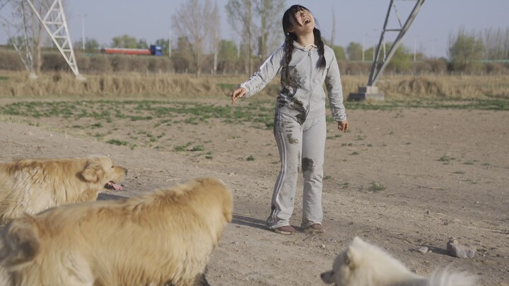 Me and My Big-Jinxed Dogs