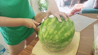 Tortoise  Watermelon fruit carving