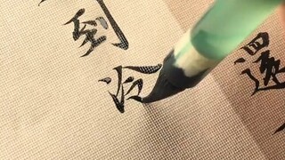 冷空气!小猫讨厌你