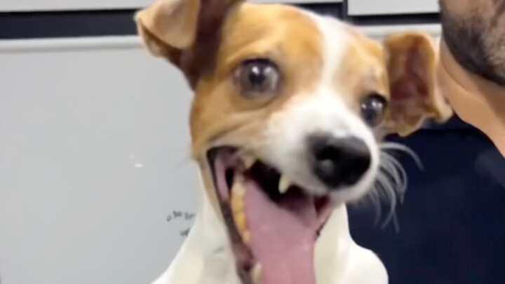 Nguồn gốc của những biểu cảm nổi tiếng