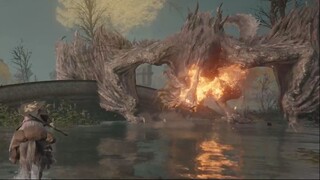 Flying Dragon Agheel - Elden Ring