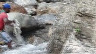 cast netting in Nepal | himalayan trout fishing with handmade castnet |