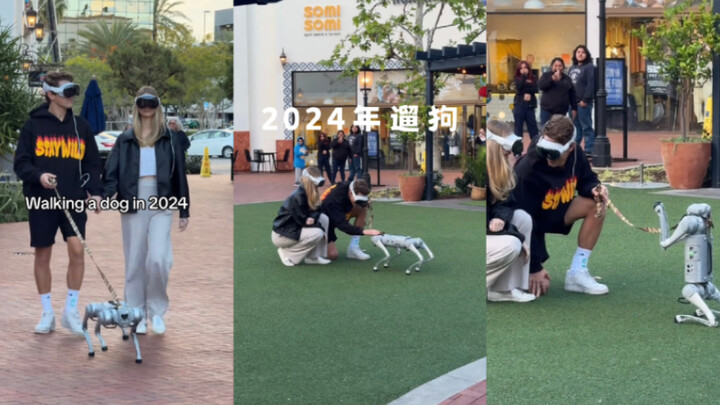 ปี 2024 พาหมาเดินเล่นแบบ…: