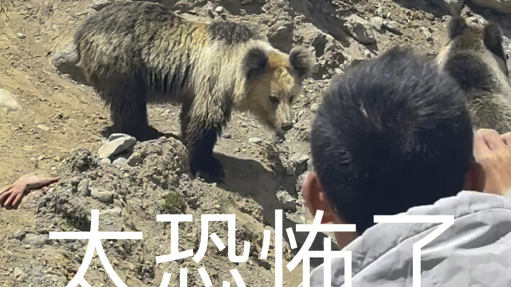 Why won’t you take advice!