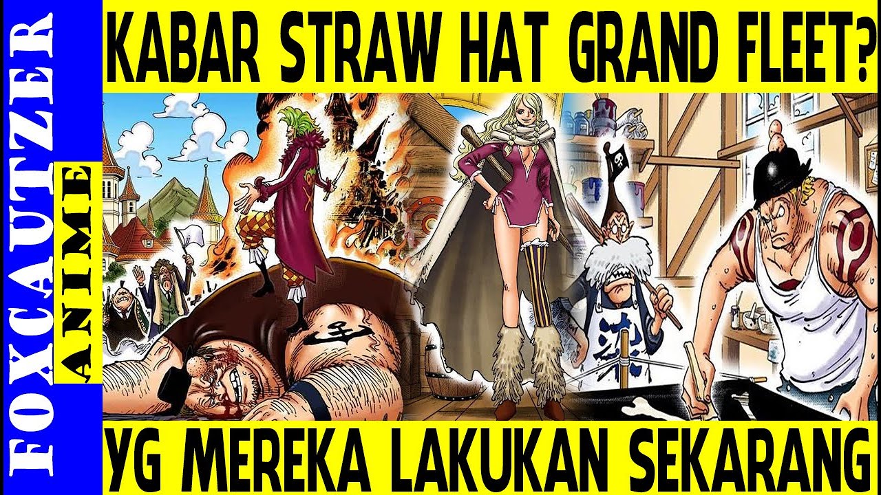 Sedang Apa Para Straw Hat Grand Fleet 