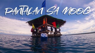 Pantalan sa MOOG with Papa Diving Buddies