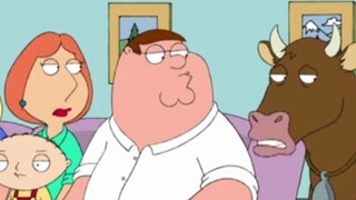 Lois tidak setuju Niuniu pindah ke rumah Peter.
