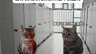 当你发现好兄弟原来是个女生时