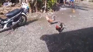 unang laban Ng aking bulik