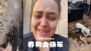 They all say that having a dog makes people happy‼ ️