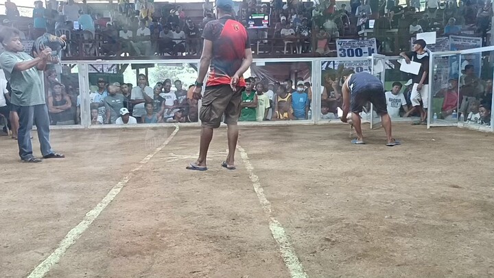 1st fight WIN #DONDON puti vs. alinbuyugin maliit pero Hindi magpapatinag sa laki!!