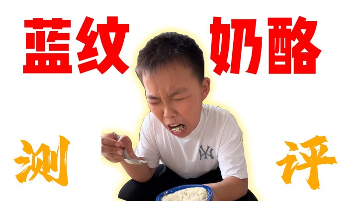蓝纹奶酪测评