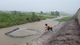 Theo cha quăng chài, giăng lưới ''Kiếm Cá'' nấu ăn bữa cơm chiều | Ngư Dân Miền Tây