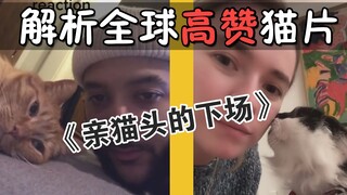 Menganalisis video kucing paling disukai di dunia: Akhir yang berbeda saat mencium kepala kucing! Ha