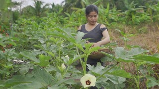 THU HOẠCH ĐẬU BẮP VỀ NẤU LẨU CÁ LĂNG | Chuyện Phương Kể • Tập 95