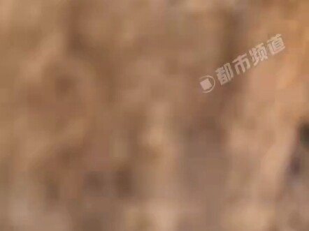 แม่เสือก็มีภาพลักษณ์ที่ต้องรักษา ห้ามใครมาบอกว่าเธออ้วนเด็ดขาด